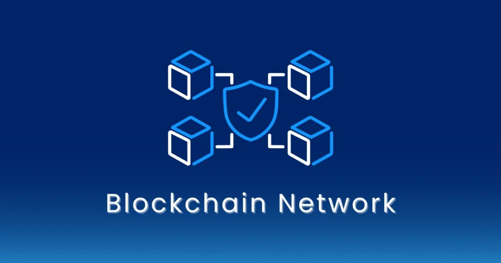 Blockchain Networks