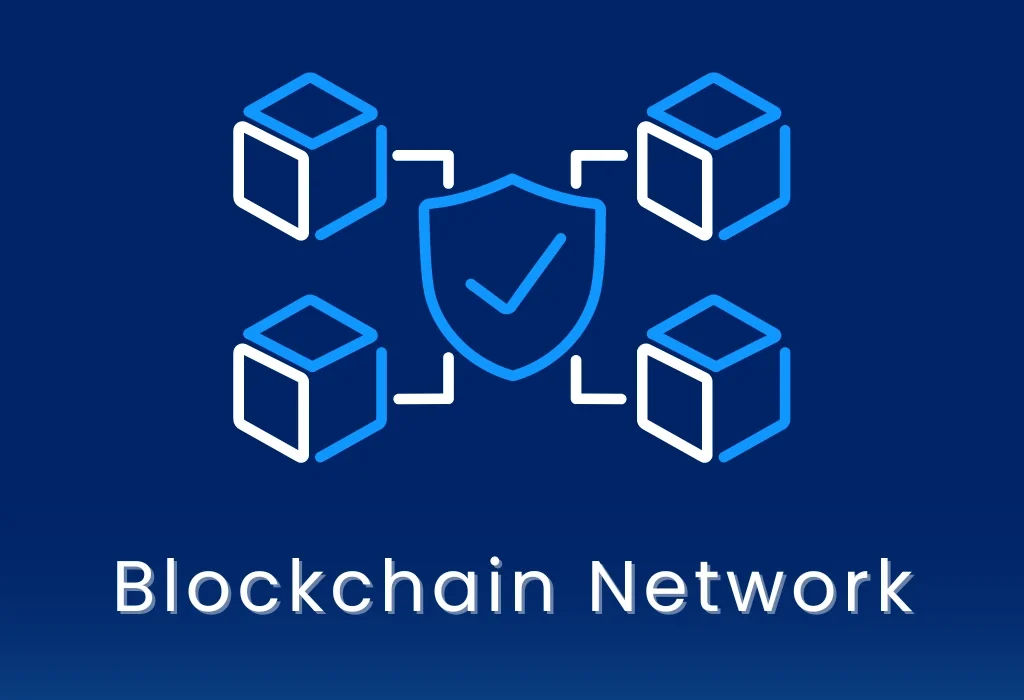 Blockchain Networks