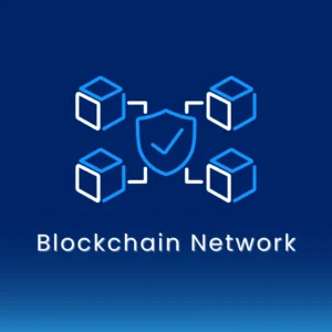 Blockchain Networks