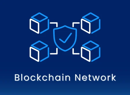 Blockchain Networks