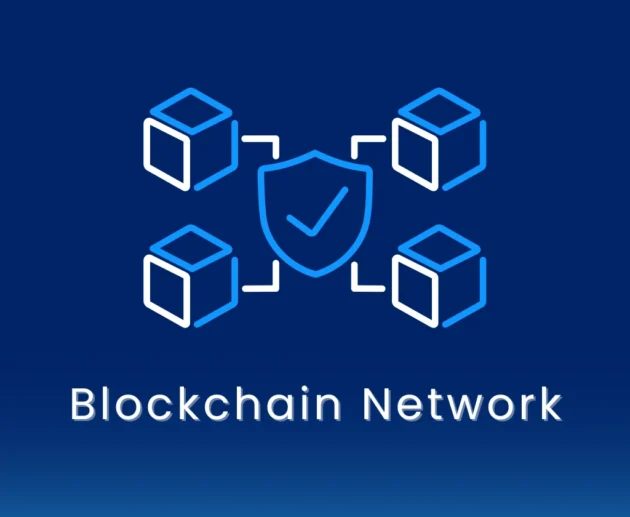 Blockchain Networks