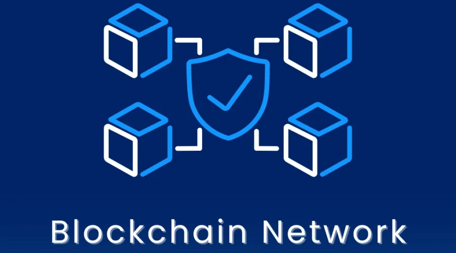 Blockchain Networks